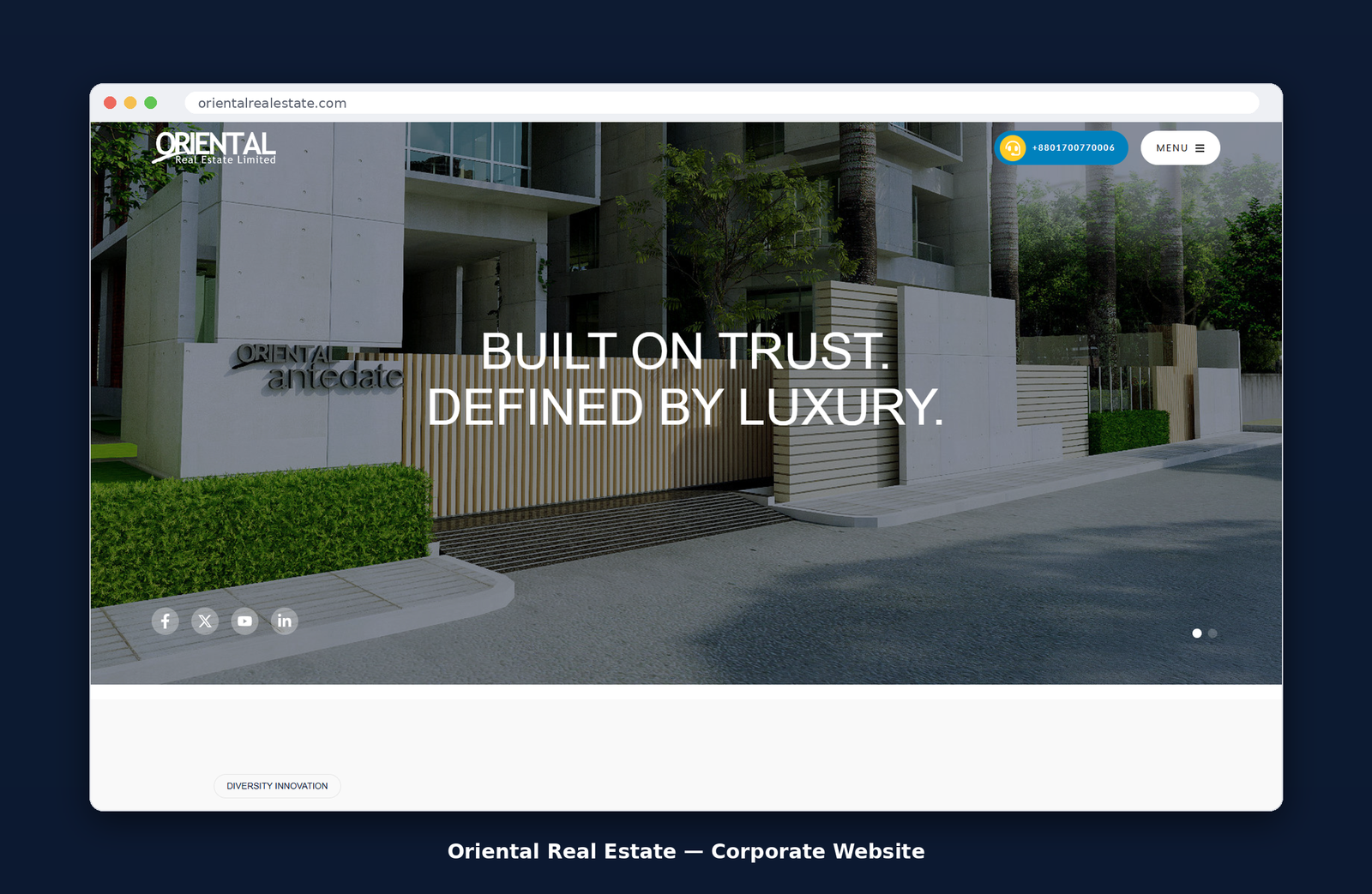 Project Details